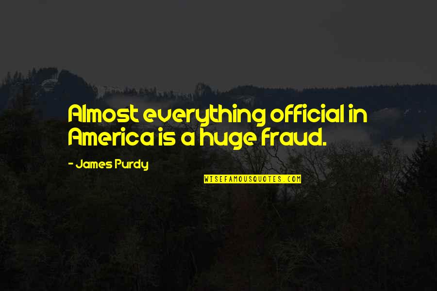 Deltagere Quotes By James Purdy: Almost everything official in America is a huge