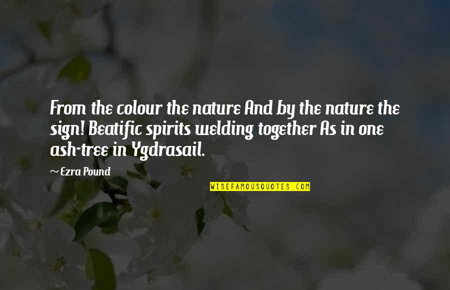 Demarteau Location Quotes By Ezra Pound: From the colour the nature And by the