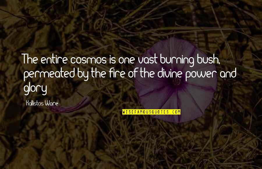 Demetz Patrick Quotes By Kallistos Ware: The entire cosmos is one vast burning bush,