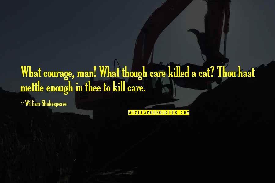 Demidovich Matematica Quotes By William Shakespeare: What courage, man! What though care killed a