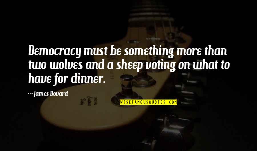 Democracy And Voting Quotes By James Bovard: Democracy must be something more than two wolves