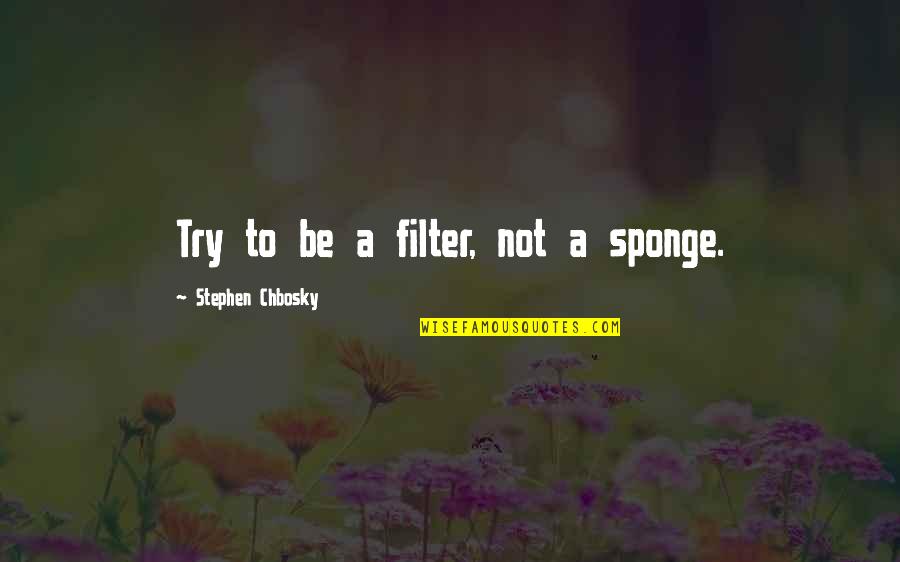 Denaturalized Us Citizen Quotes By Stephen Chbosky: Try to be a filter, not a sponge.