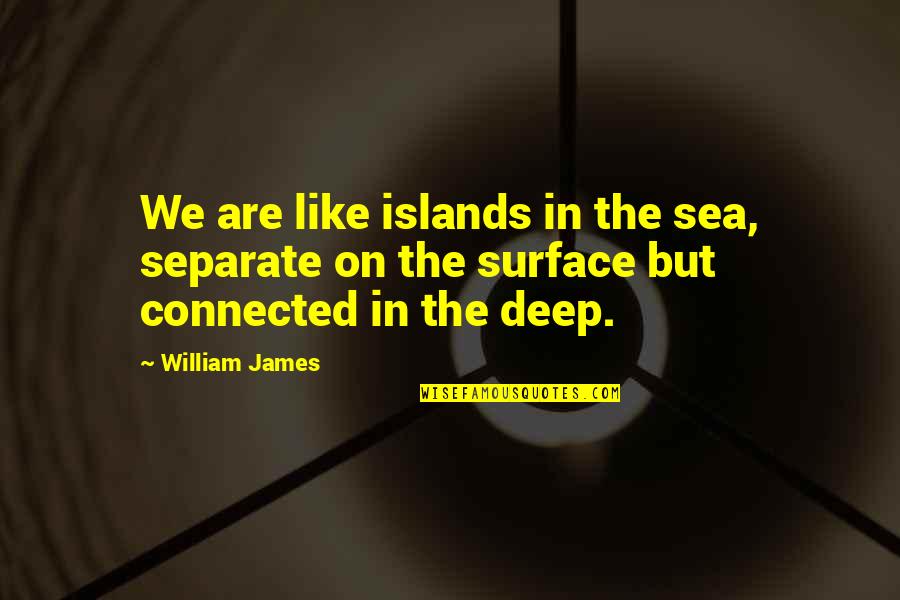 Dennis Richardson Quotes By William James: We are like islands in the sea, separate