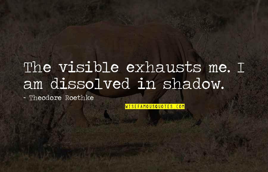 Depratter Dermatologist Quotes By Theodore Roethke: The visible exhausts me. I am dissolved in