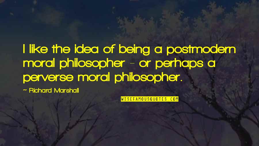 Der Ksz G Quotes By Richard Marshall: I like the idea of being a postmodern