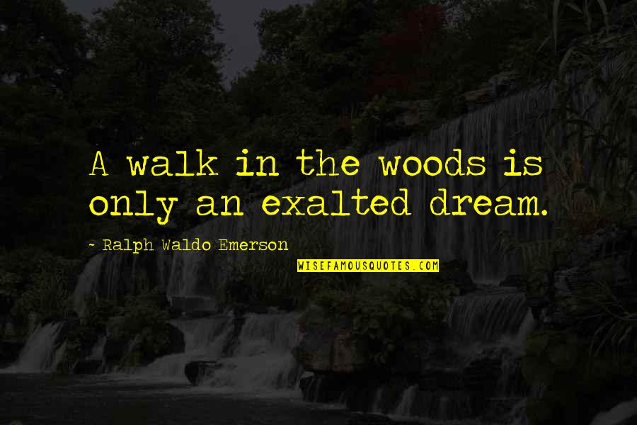 Desantis Stay Quotes By Ralph Waldo Emerson: A walk in the woods is only an