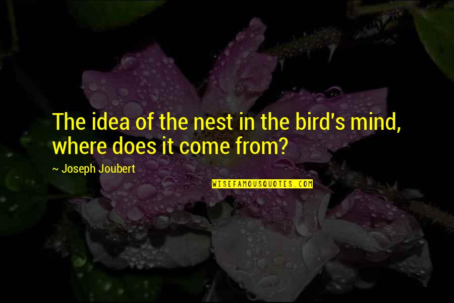 Deslizar Sinonimos Quotes By Joseph Joubert: The idea of the nest in the bird's