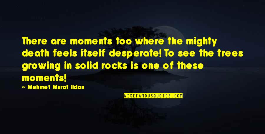 Desperate Moments Quotes By Mehmet Murat Ildan: There are moments too where the mighty death