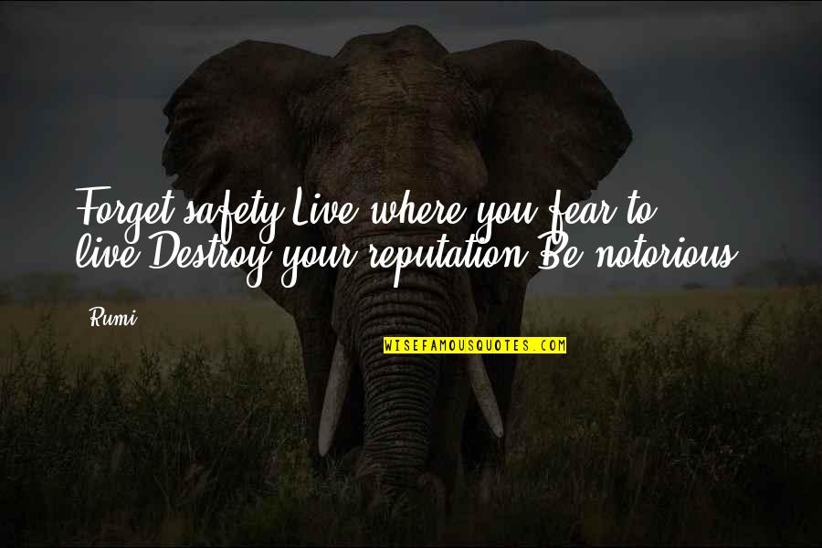 Destroy You Quotes By Rumi: Forget safety.Live where you fear to live.Destroy your