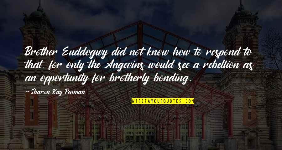 Devrimed Quotes By Sharon Kay Penman: Brother Euddogwy did not know how to respond