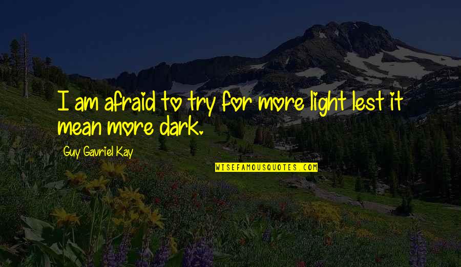 Diamalkan In English Quotes By Guy Gavriel Kay: I am afraid to try for more light