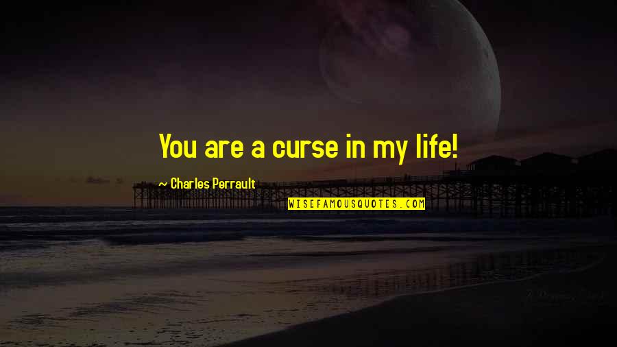 Diane Ravitch Reign Of Error Quotes By Charles Perrault: You are a curse in my life!