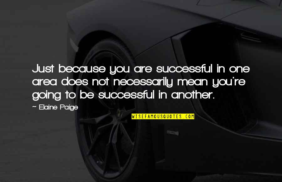 Diantre Sinonimo Quotes By Elaine Paige: Just because you are successful in one area