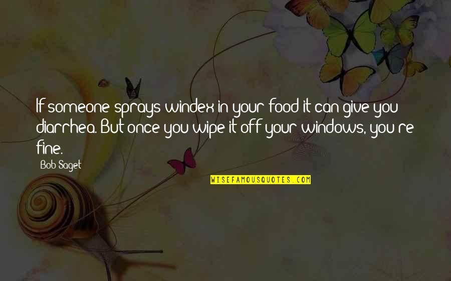 Diarrhea Quotes By Bob Saget: If someone sprays windex in your food it