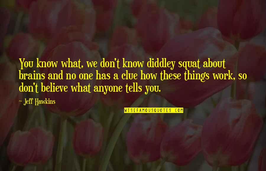 Diddley Quotes By Jeff Hawkins: You know what, we don't know diddley squat