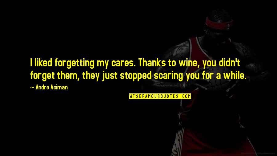 Didn't Forget You Quotes By Andre Aciman: I liked forgetting my cares. Thanks to wine,