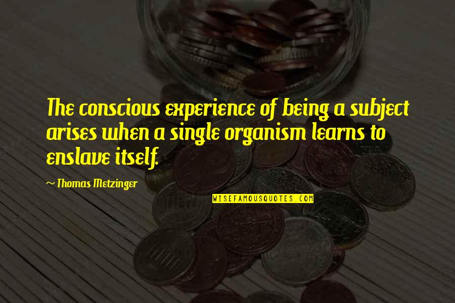 Didostati Quotes By Thomas Metzinger: The conscious experience of being a subject arises