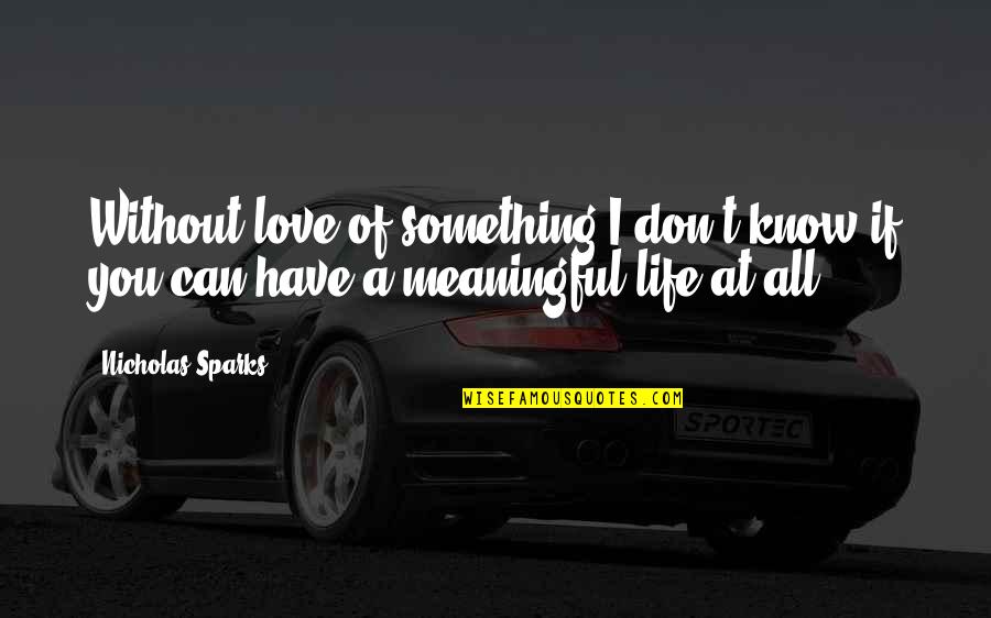 Difesa Consumatori Quotes By Nicholas Sparks: Without love of something I don't know if