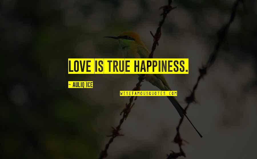 Diffenderfer Attorney Quotes By Auliq Ice: Love is true happiness.