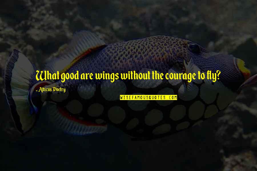 Different Love Proposal Quotes By Atticus Poetry: What good are wings without the courage to