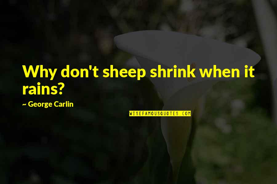 Diggory Harry Quotes By George Carlin: Why don't sheep shrink when it rains?