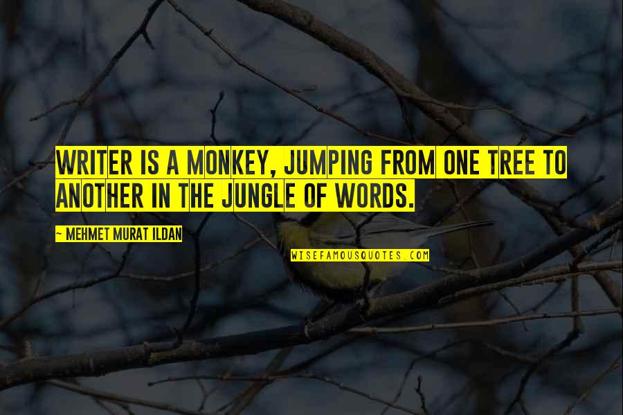 Dilian Danas Quotes By Mehmet Murat Ildan: Writer is a monkey, jumping from one tree