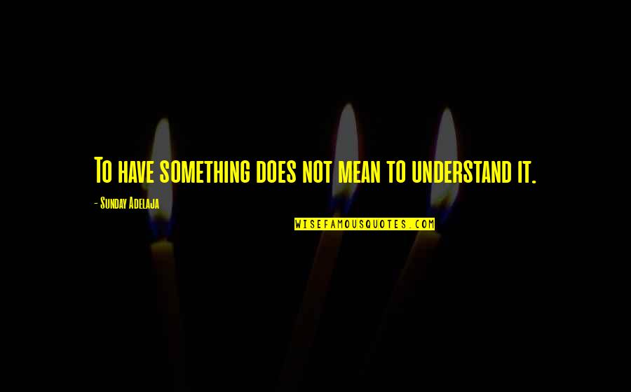 Diljale Film Quotes By Sunday Adelaja: To have something does not mean to understand