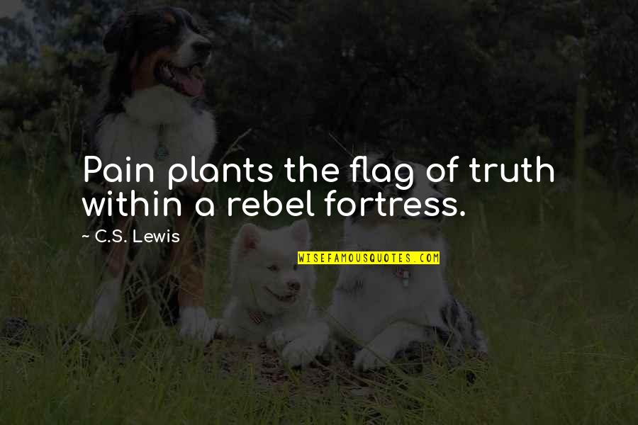 Diocletian Lewis Quotes By C.S. Lewis: Pain plants the flag of truth within a