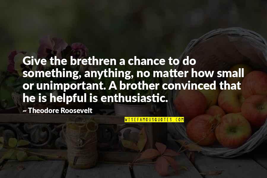 Direito Constitucional Quotes By Theodore Roosevelt: Give the brethren a chance to do something,