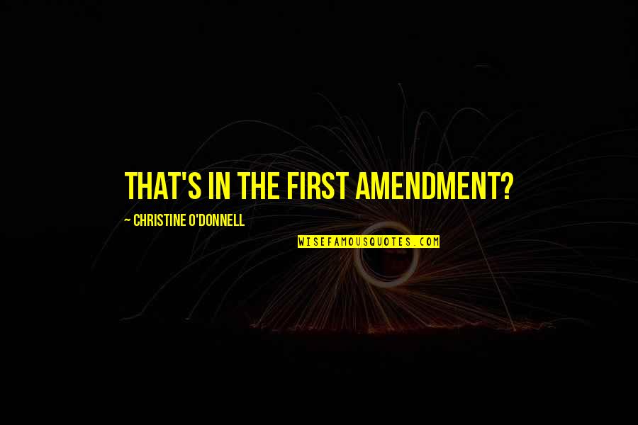 Disaffection Define Quotes By Christine O'Donnell: That's in the First Amendment?