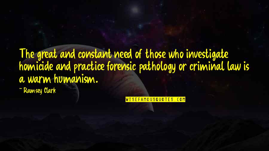 Discombobulation Crossword Quotes By Ramsey Clark: The great and constant need of those who