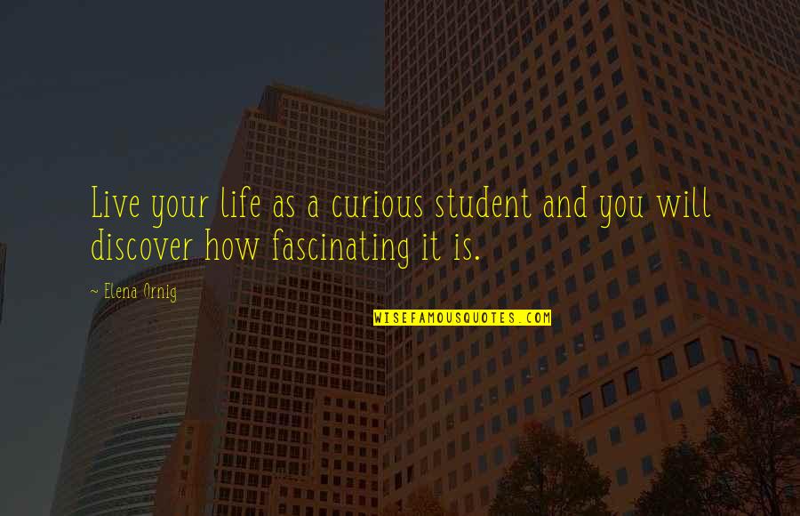 Discover Life Quotes By Elena Ornig: Live your life as a curious student and