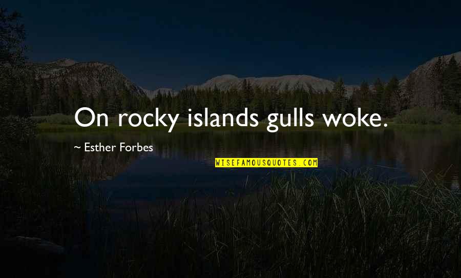 Dislocation Vs Subluxation Quotes By Esther Forbes: On rocky islands gulls woke.