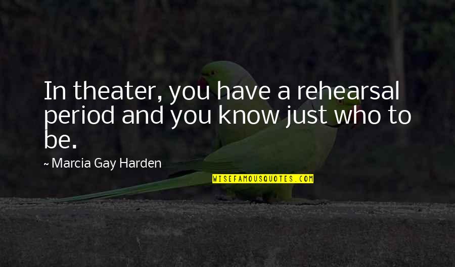 Disney Fawn Quotes By Marcia Gay Harden: In theater, you have a rehearsal period and