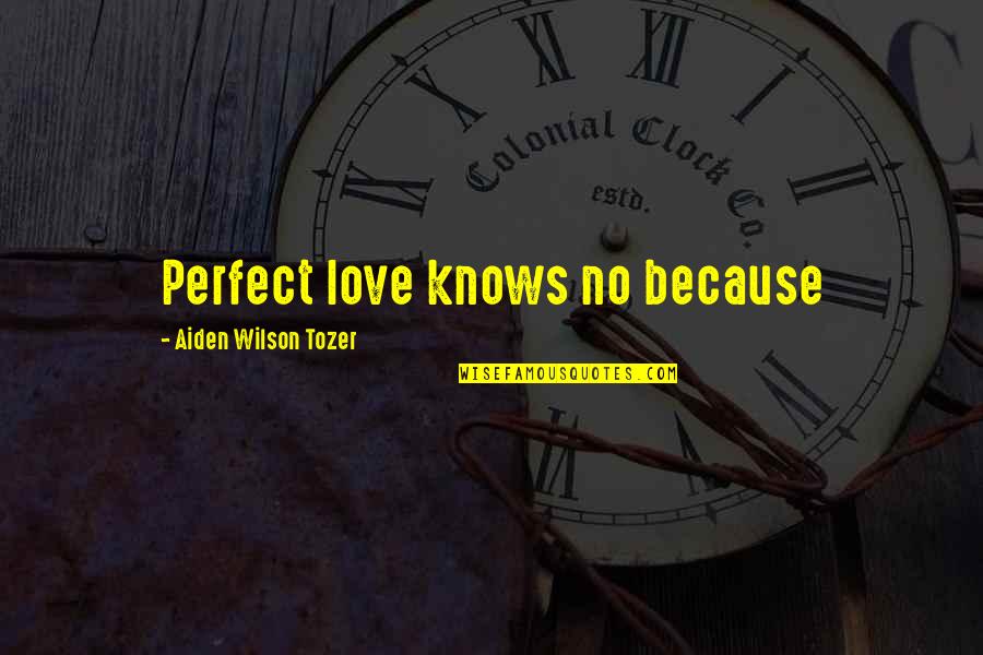 Disneyland Castle Quotes By Aiden Wilson Tozer: Perfect love knows no because