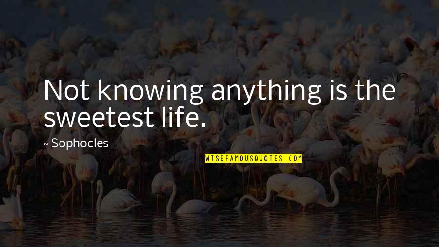 Distanciamiento Social Explicado Quotes By Sophocles: Not knowing anything is the sweetest life.