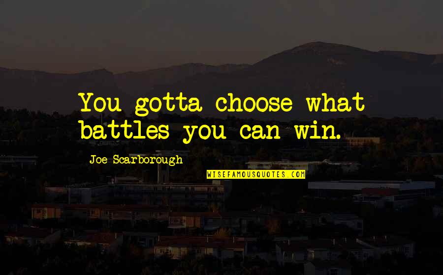 Distinguishable Permutations Quotes By Joe Scarborough: You gotta choose what battles you can win.