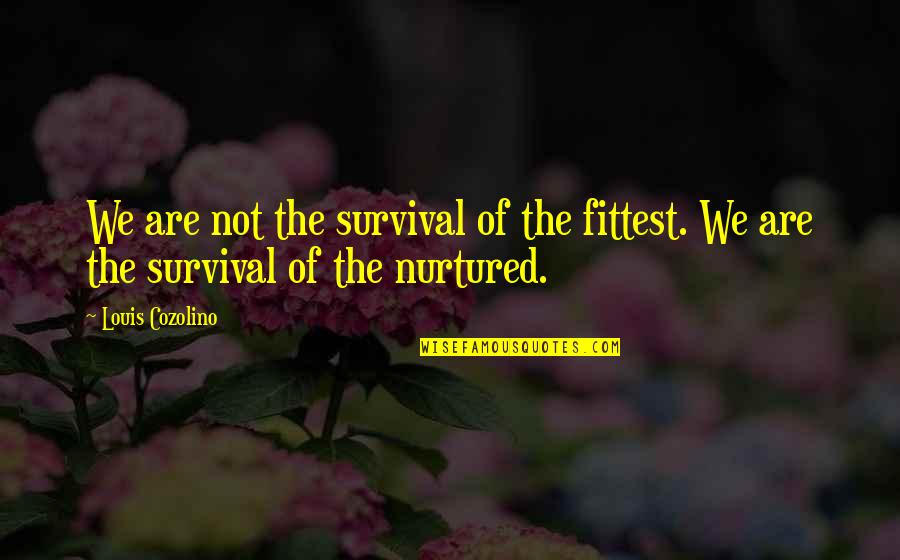 Dittmar Apartments Quotes By Louis Cozolino: We are not the survival of the fittest.