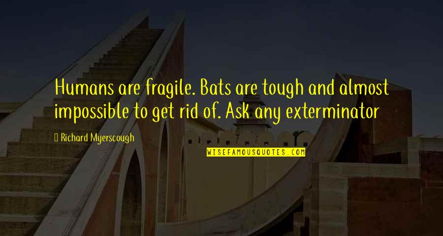 Djeneba Gori Quotes By Richard Myerscough: Humans are fragile. Bats are tough and almost