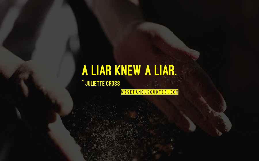 Dlz Engineering Quotes By Juliette Cross: A liar knew a liar.