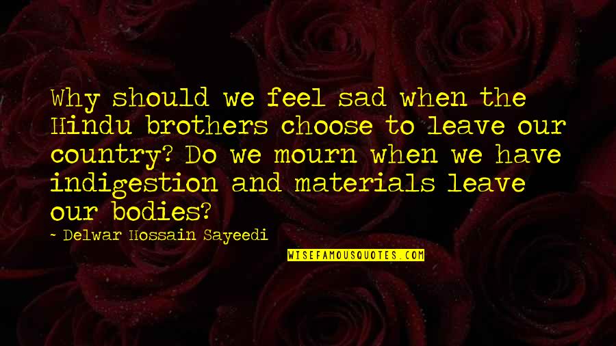 Do Brothers Quotes By Delwar Hossain Sayeedi: Why should we feel sad when the Hindu