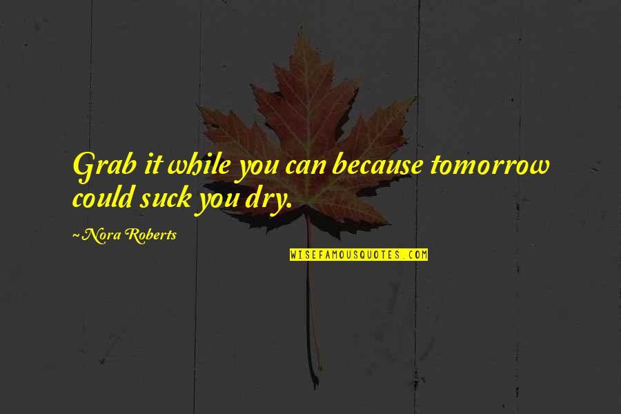 Dobry Vojak Quotes By Nora Roberts: Grab it while you can because tomorrow could