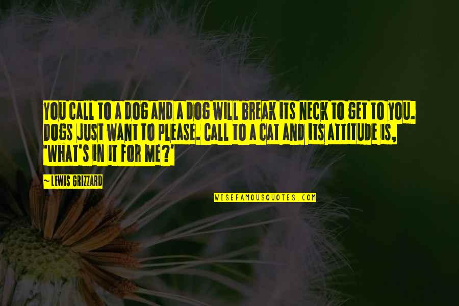 Dog Cat Quotes By Lewis Grizzard: You call to a dog and a dog