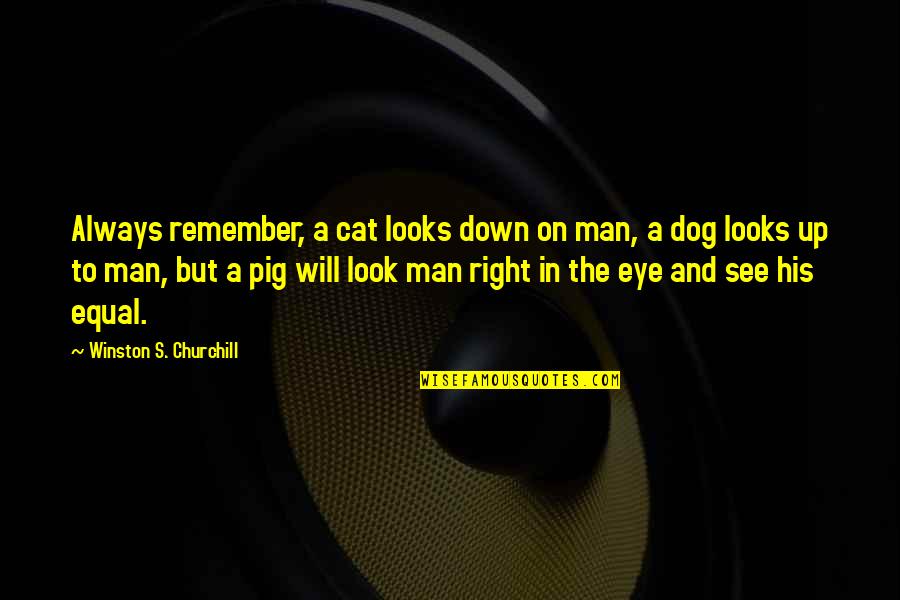 Dog Cat Quotes By Winston S. Churchill: Always remember, a cat looks down on man,