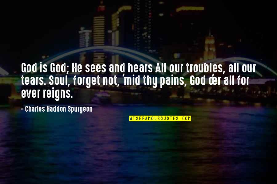 Dog Lick Quotes By Charles Haddon Spurgeon: God is God; He sees and hears All