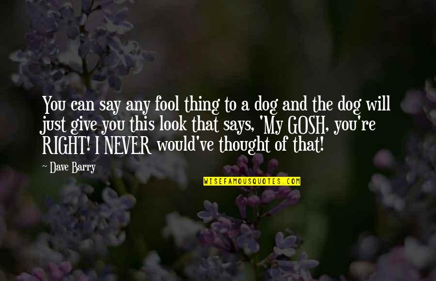 Dog Look Quotes By Dave Barry: You can say any fool thing to a