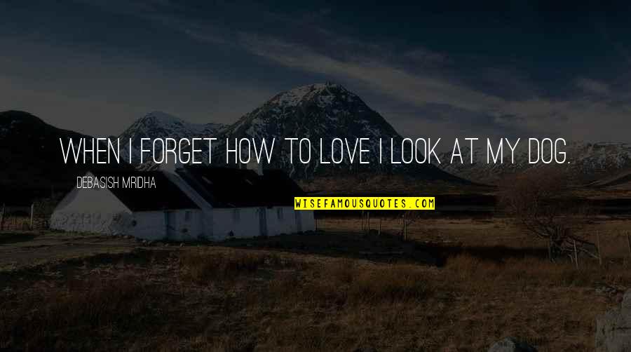 Dog Look Quotes By Debasish Mridha: When I forget how to love I look