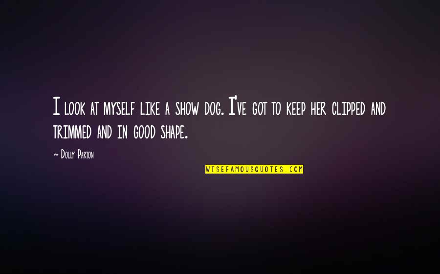 Dog Look Quotes By Dolly Parton: I look at myself like a show dog.