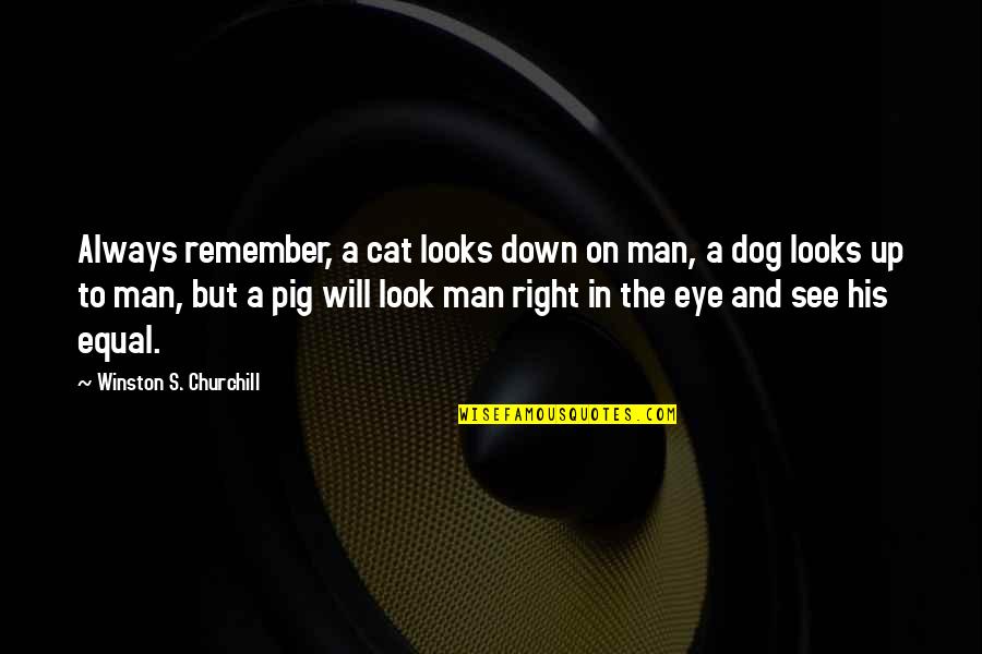 Dog Look Quotes By Winston S. Churchill: Always remember, a cat looks down on man,