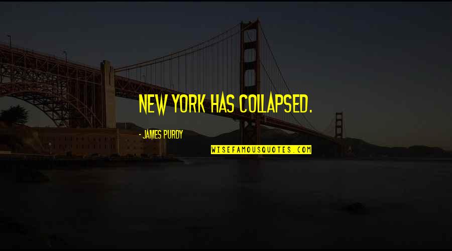 Dog Paddling On Bike Quotes By James Purdy: New York has collapsed.